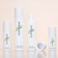 Luxury Matte White Frosted Wine Red Skincare Packaging Flat Shoulder Glass Jar Serum Bottle Set